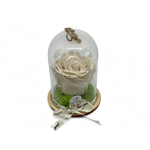 Естествена вечна роза в PVC купол Pearl White Whi 04