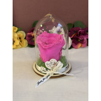 Естествена вечна роза в PVC купол Pin 07
