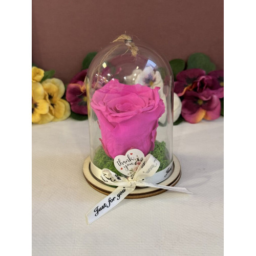 Естествена вечна роза в PVC купол Pin 07