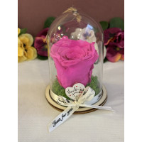 Естествена вечна роза в PVC купол Pin 07