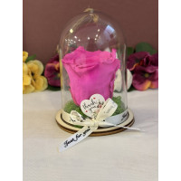 Естествена вечна роза в PVC купол Pin 07