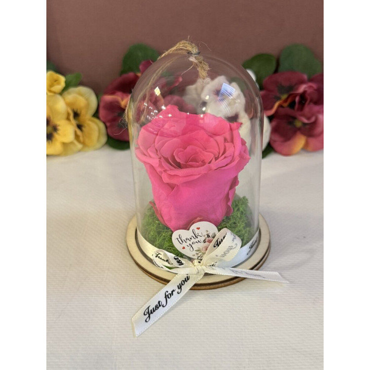 Естествена вечна роза в PVC купол Pin 07