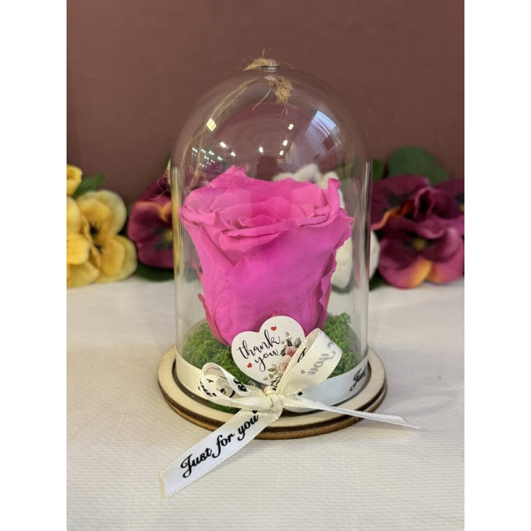 Естествена вечна роза в PVC купол Pin 07