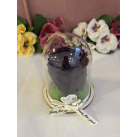 Естествена вечна роза в PVC купол Pur 01