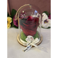 Естествена вечна роза в PVC купол Rainbow Pin 02