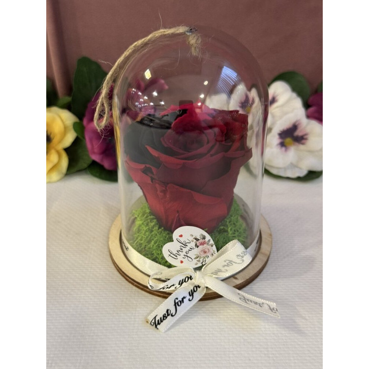 Естествена вечна роза в PVC купол Rainbow Pin 02