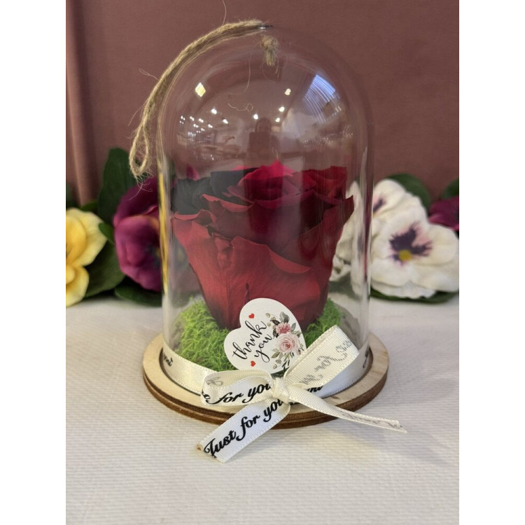 Естествена вечна роза в PVC купол Rainbow Pin 02