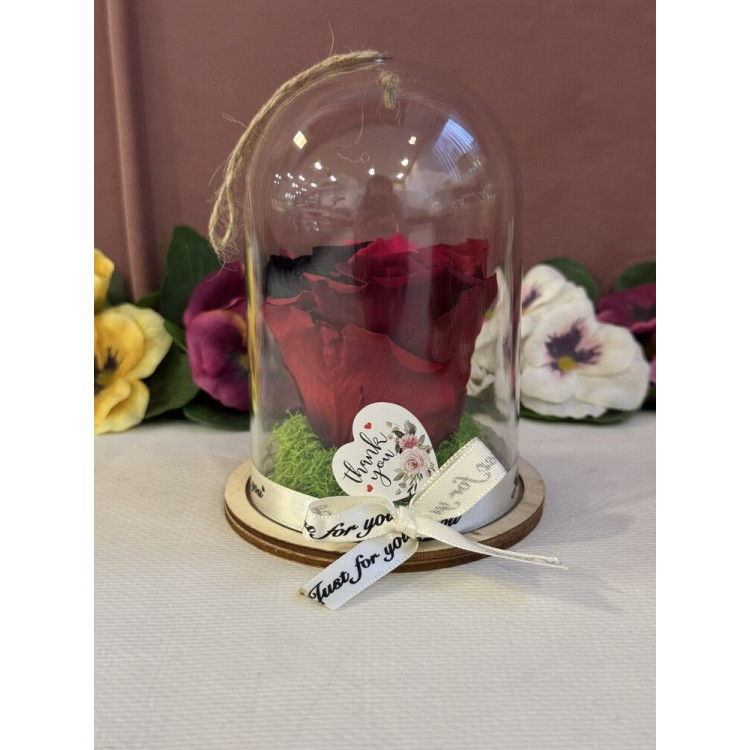 Естествена вечна роза в PVC купол Rainbow Pin 02