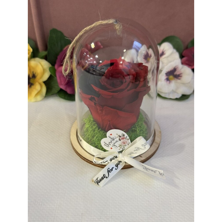 Естествена вечна роза в PVC купол Rainbow Pin 02