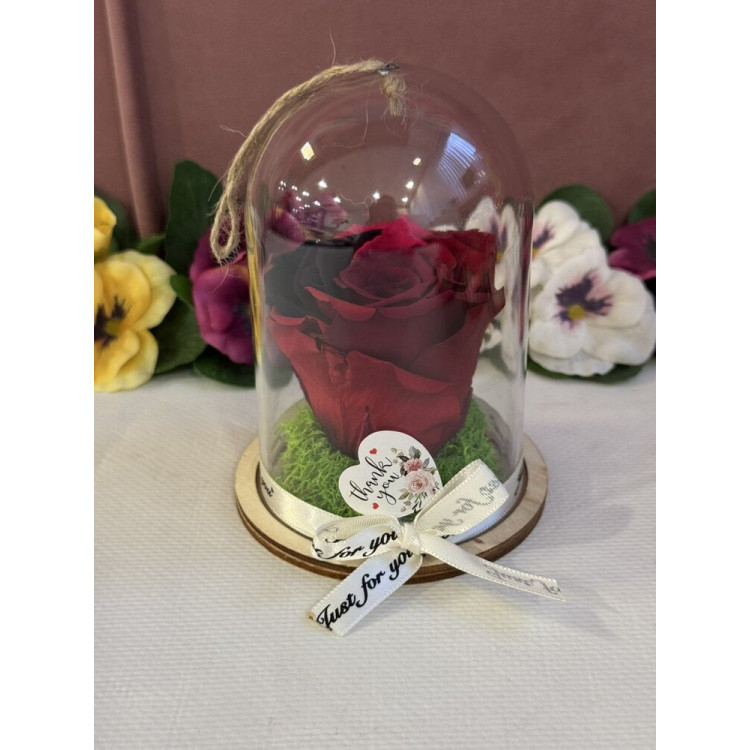 Естествена вечна роза в PVC купол Rainbow Pin 02