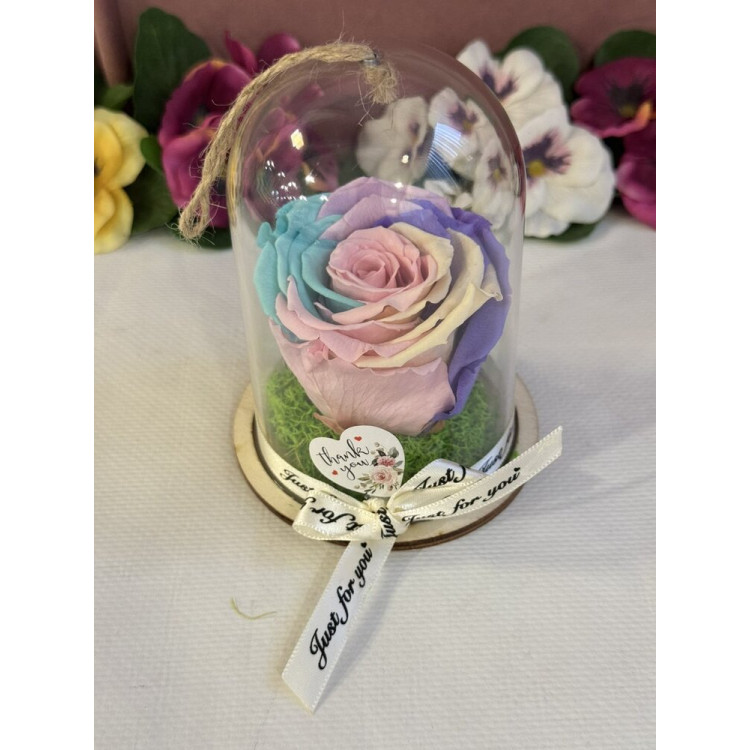 Естествена вечна роза в PVC купол Rainbow Pin 04