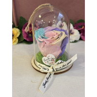 Естествена вечна роза в PVC купол Rainbow Pin 04
