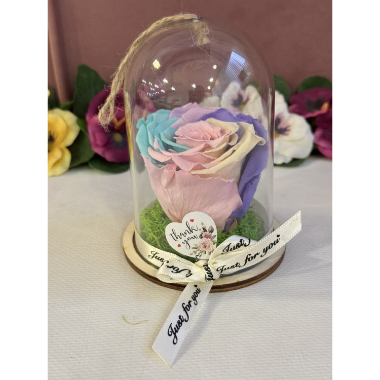 Естествена вечна роза в PVC купол Rainbow Pin 04