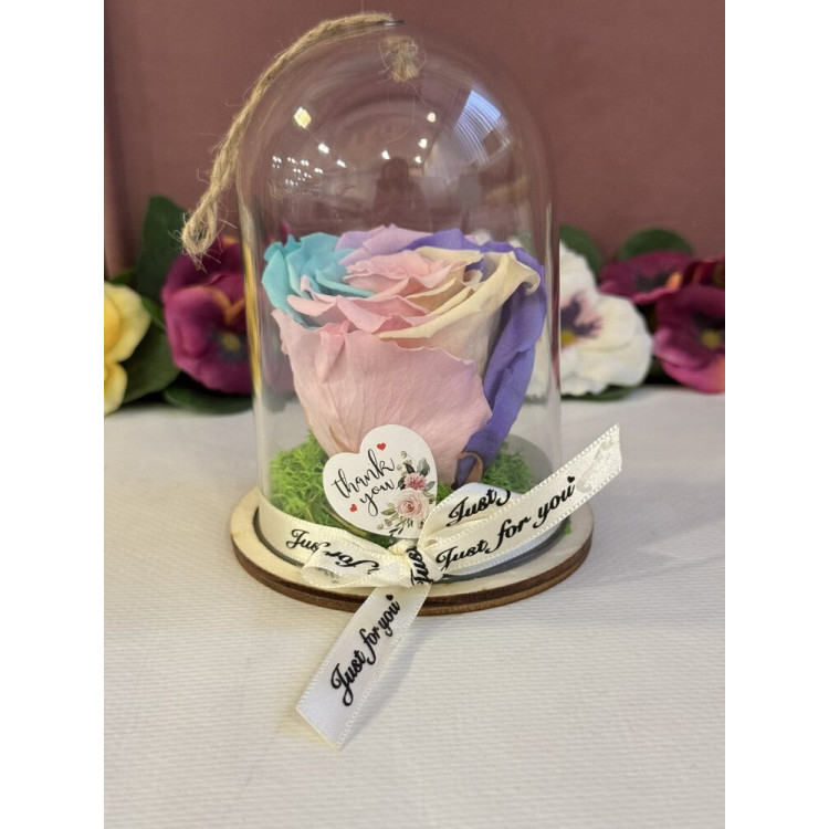 Естествена вечна роза в PVC купол Rainbow Pin 04