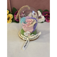 Естествена вечна роза в PVC купол Rainbow Pin 04