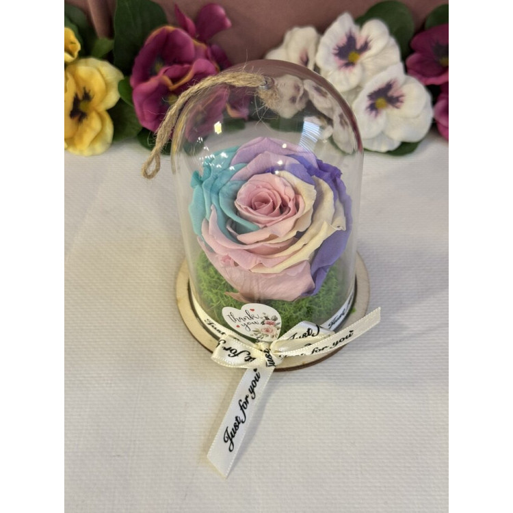 Естествена вечна роза в PVC купол Rainbow Pin 04
