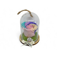 Естествена вечна роза в PVC купол Rainbow Pin 04