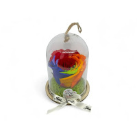 Естествена вечна роза в PVC купол Rainbow Red 02