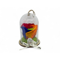 Естествена вечна роза в PVC купол Rainbow Red 02