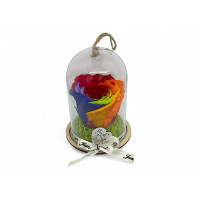 Естествена вечна роза в PVC купол Rainbow Red 02