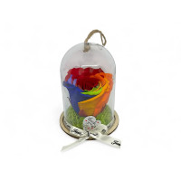 Естествена вечна роза в PVC купол Rainbow Red 02