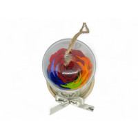 Естествена вечна роза в PVC купол Rainbow Red 02