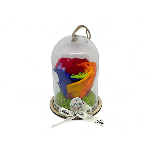 Естествена вечна роза в PVC купол Rainbow Red 02