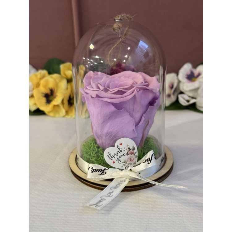 Естествена вечна роза в PVC купол Vio 03