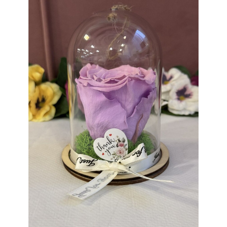 Естествена вечна роза в PVC купол Vio 03