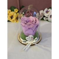 Естествена вечна роза в PVC купол Vio 03