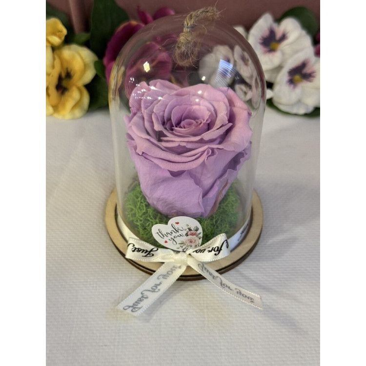 Естествена вечна роза в PVC купол Vio 03