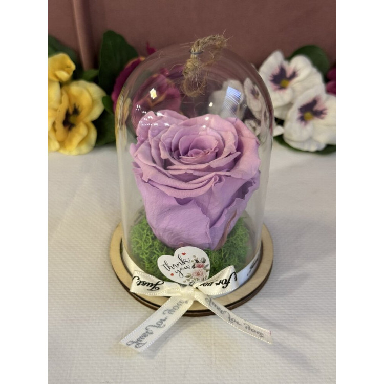 Естествена вечна роза в PVC купол Vio 03