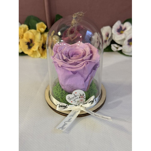 Естествена вечна роза в PVC купол Vio 03