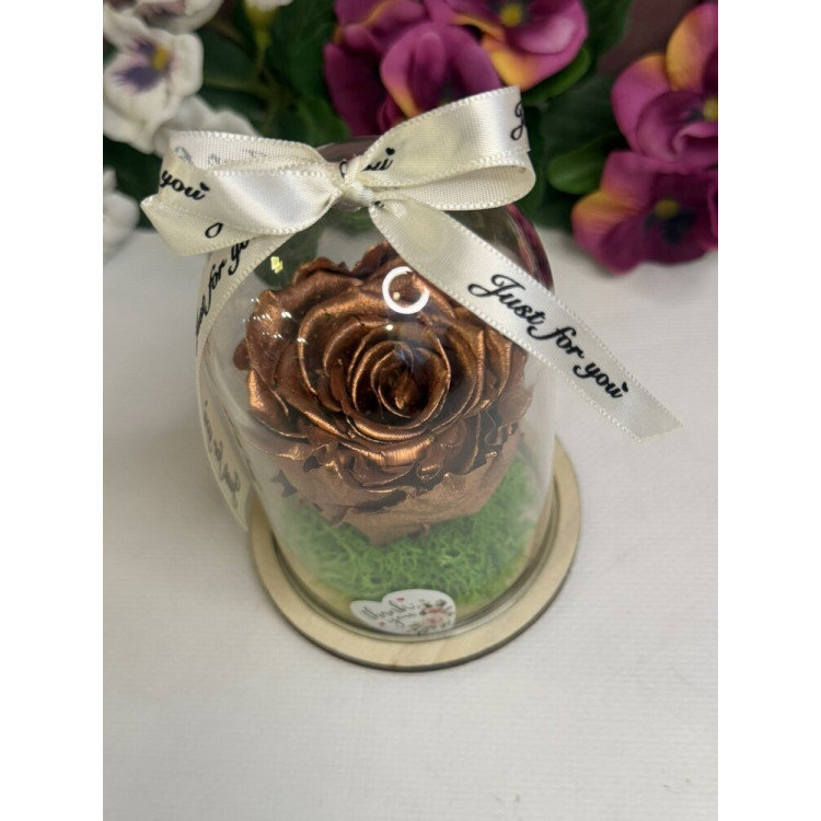 Естествена вечна роза в PVC купол W1