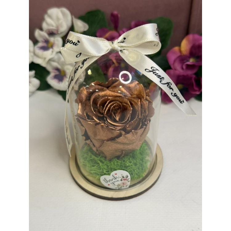 Естествена вечна роза в PVC купол W1