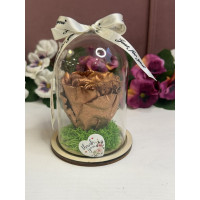 Естествена вечна роза в PVC купол W1