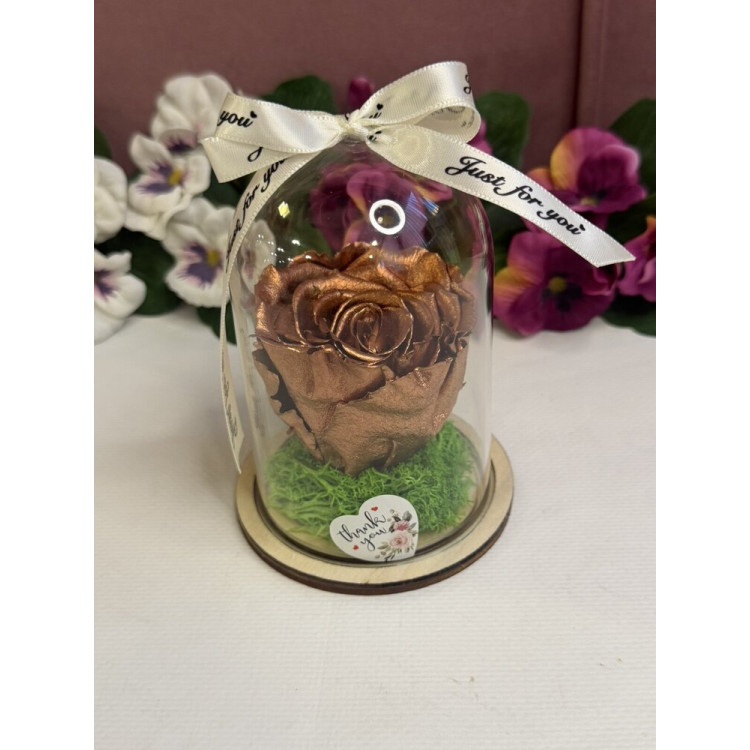 Естествена вечна роза в PVC купол W1