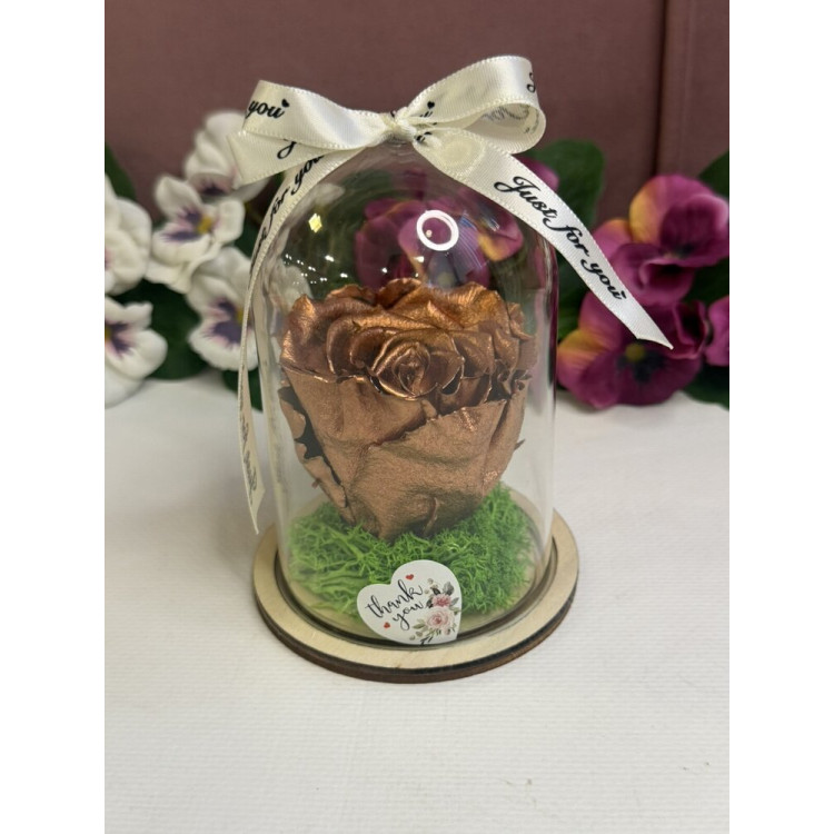 Естествена вечна роза в PVC купол W1