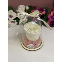 Естествена вечна роза в PVC купол W10