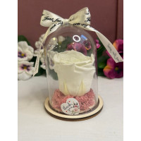 Естествена вечна роза в PVC купол W10