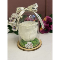 Естествена вечна роза в PVC купол W11