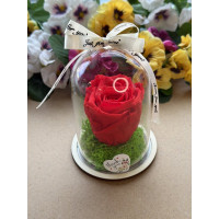 Естествена вечна роза в PVC купол W12
