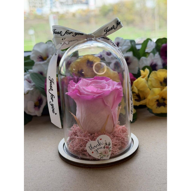 Естествена вечна роза в PVC купол W13