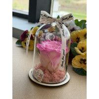 Естествена вечна роза в PVC купол W13