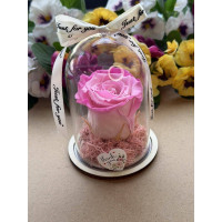 Естествена вечна роза в PVC купол W13