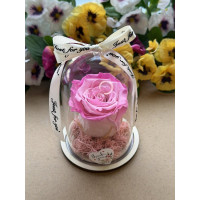 Естествена вечна роза в PVC купол W13