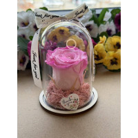 Естествена вечна роза в PVC купол W13