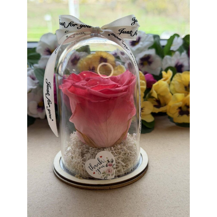 Естествена вечна роза в PVC купол W14