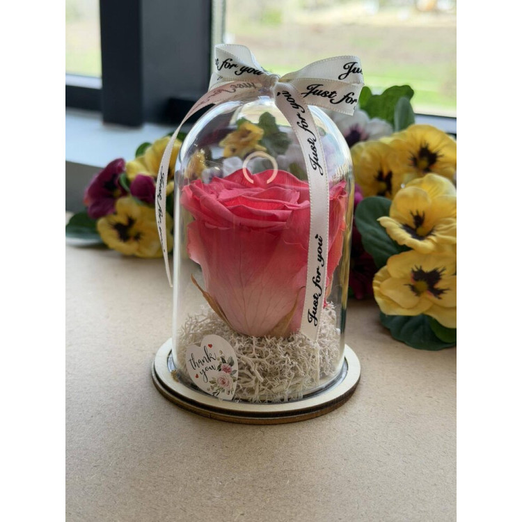 Естествена вечна роза в PVC купол W14