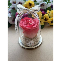 Естествена вечна роза в PVC купол W14